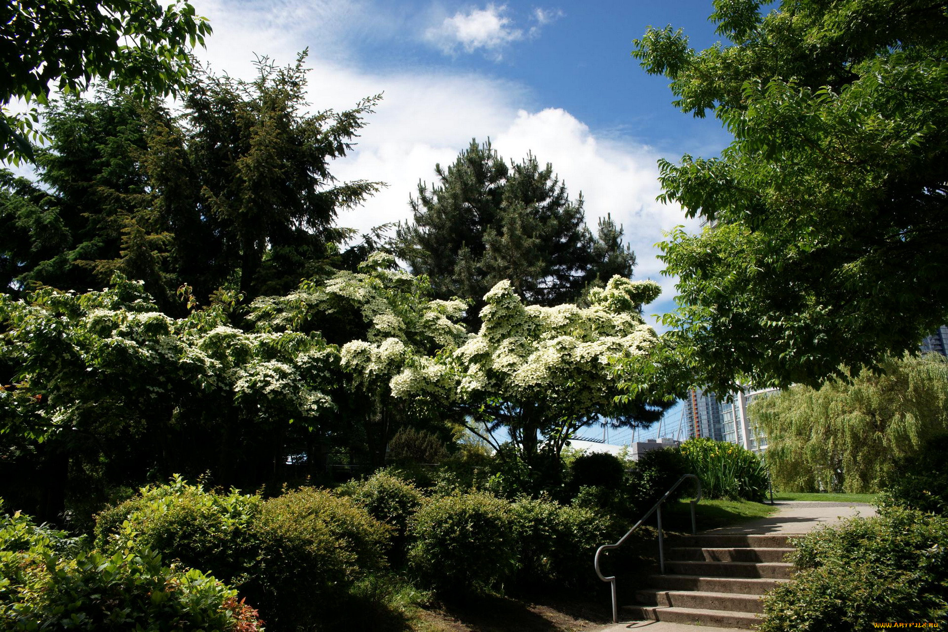 , vancouver, andy, livingstone, park, , 